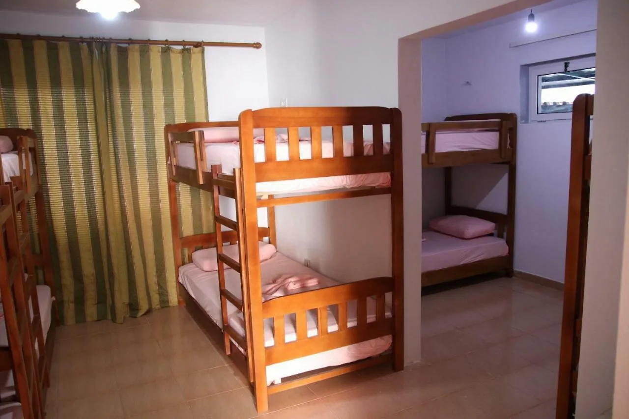 ***  Eden Hostel Тирана Албания